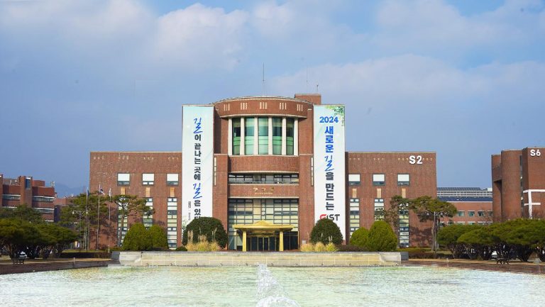 Undergraduate Scholarships