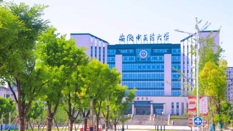 Fully Funded Anhui Medical University Chinese Government Scholarship 2025: A Comprehensive Guide 5 Anhui Medical University Chinese Government Scholarship