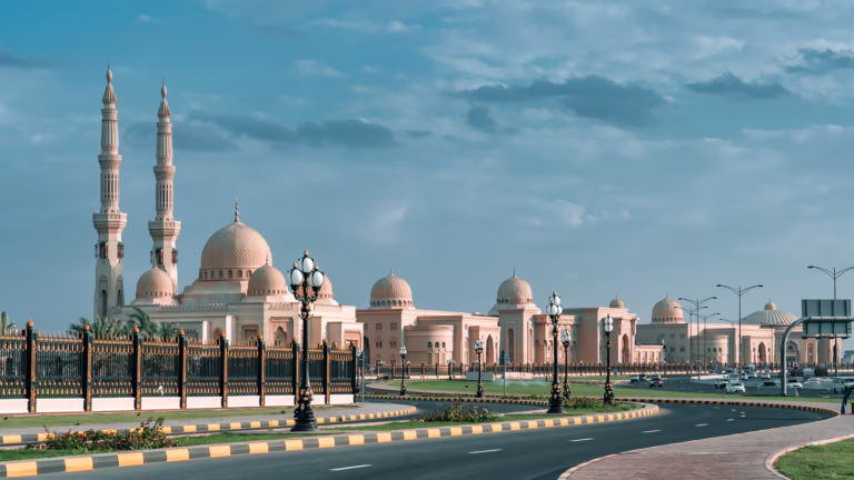 Al Qasimia University Scholarship 2025: A Comprehensive Guide 8 Al Qasimia University Scholarship